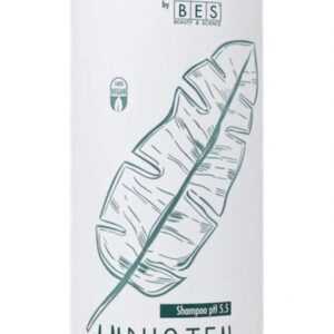 BES Colour Lock Amphoten Shampoo New 1000ml - Speciální šampon pro barvené vlasy