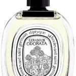 Diptyque Geranium Odorata - EDT 100 ml