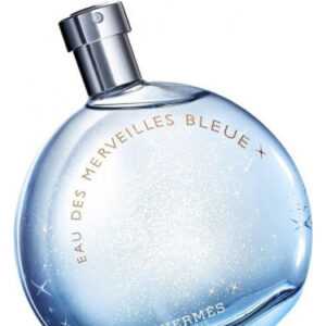 Hermes Eau Des Merveilles Bleue - EDT 100 ml