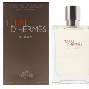 Hermes Terre d`Hermès Eau Givrée - EDP (plnitelná) 100 ml