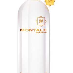 Montale Nepal Aoud - EDP 100 ml